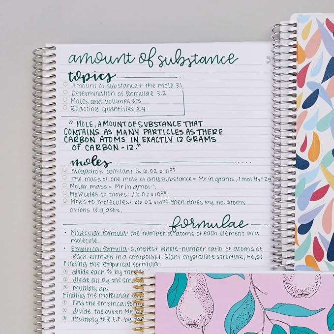 Erin Condren 8.5" X 11" Spiral Bound Productivity Notebook, Kaleidoscope Colorful, Functional 160 Lined Page and 80Lb Thick Paper Spiral Notebook, Stickers Included