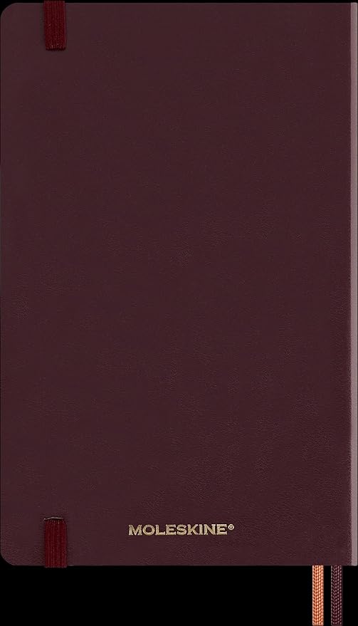 Moleskine Daily Planner Wizarding World Harry Potter Spells Kollektion Accio, 12-Monats Linierter Tagesplaner, Phosphoreszierender Fester Einband, Großformat 13 x 21 cm