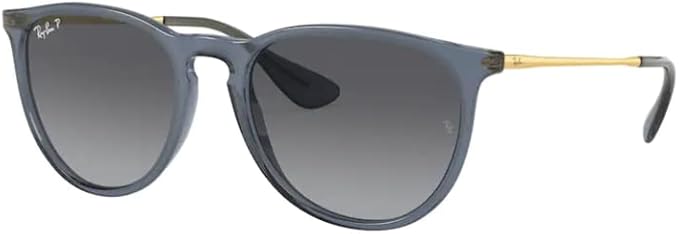 Ray-Ban RB4171 ERIKA Round Sunglasses For Women +BUNDLE with ACCESSORY EYEWEAR KIT