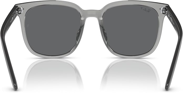 Ray-Ban Unisex Rb4401d Square Sunglasses