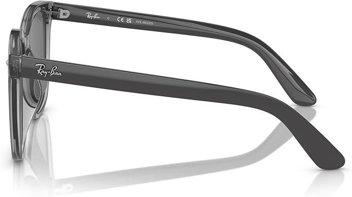 Ray-Ban Unisex Rb4401d Square Sunglasses