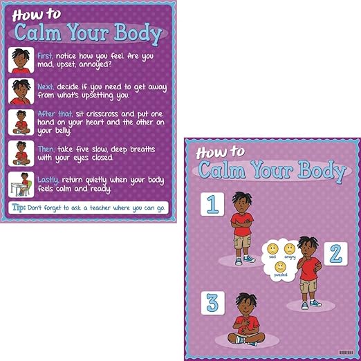 Really Good Stuff How to - Social/Emotional Poster Set