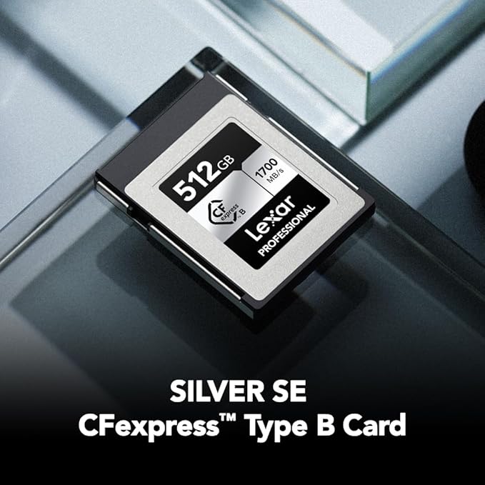 Lexar 512GB Professional Silver SE CFexpress Type B Memory Card, for Photographers, Videographers, Up to 1700/1250 MB/s, 8K Video (LCXEXSE512G-RNENU)