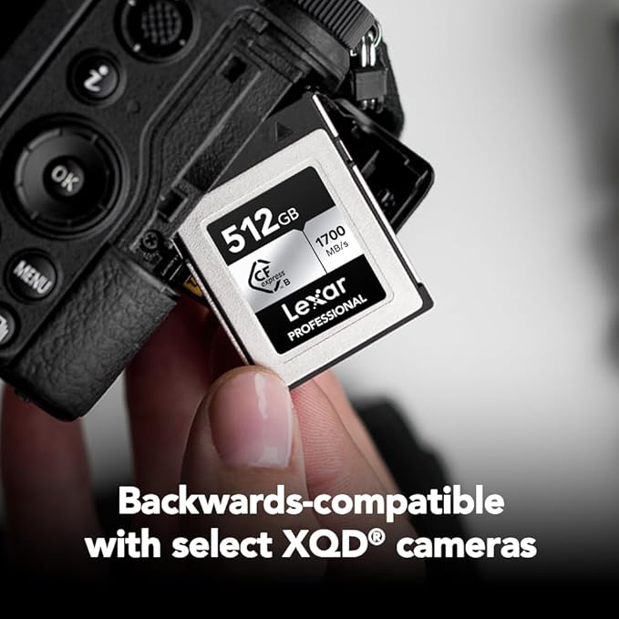 Lexar 512GB Professional Silver SE CFexpress Type B Memory Card, for Photographers, Videographers, Up to 1700/1250 MB/s, 8K Video (LCXEXSE512G-RNENU)