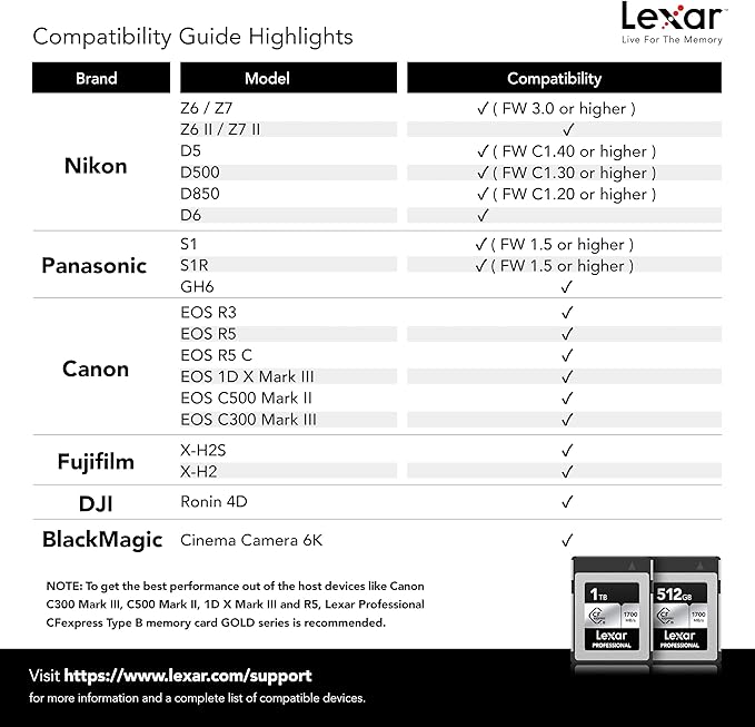 Lexar 512GB Professional Silver SE CFexpress Type B Memory Card, for Photographers, Videographers, Up to 1700/1250 MB/s, 8K Video (LCXEXSE512G-RNENU)