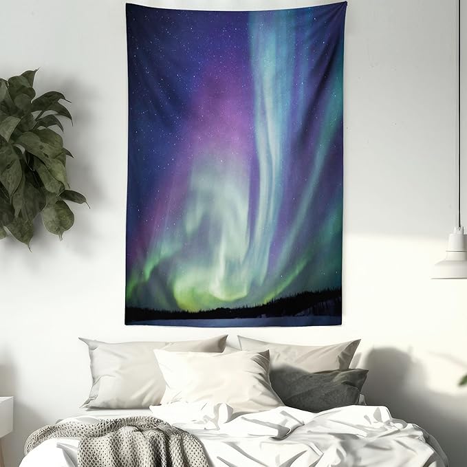 Ambesonne Aurora Borealis Tapestry, Exquisite Atmosphere Solar Starry Sky Calming Night Image, Wall Hanging for Bedroom Living Room Dorm Decor, 40" X 60", Dark Blue Mint Green