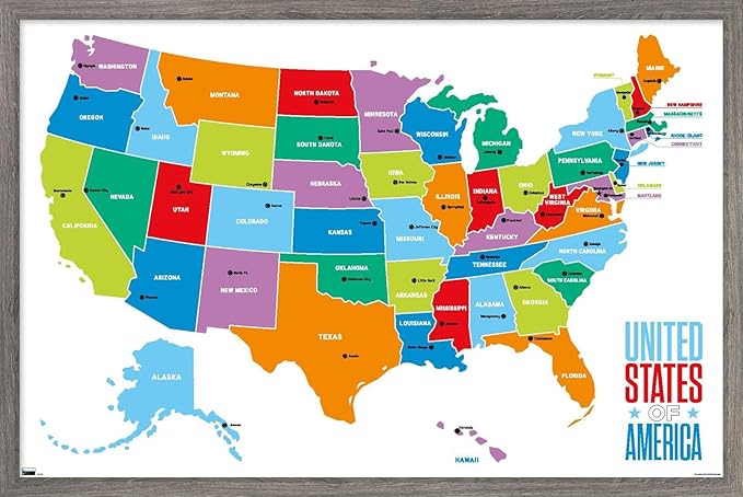 Trends International Map - United States Of America 2022 Wall Poster, 22.375" x 34", Barnwood Framed Version