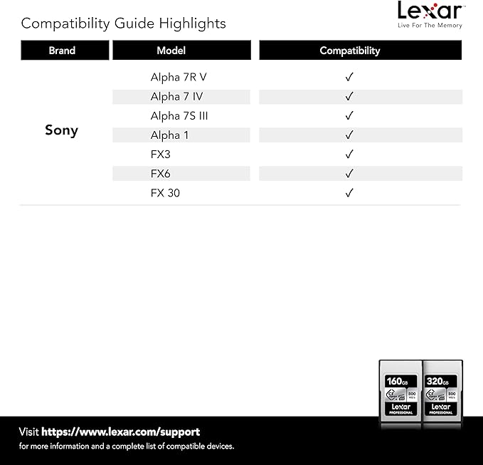 Lexar 160GB Professional CFexpress Type A SILVER Series Memory Card, Compatible with Sony Cameras w/ Type A Card Slot, Up to 800/700 MB/s Read/Write, 8K Video, VPG 200 (LCAEXSL160G-RNENG)