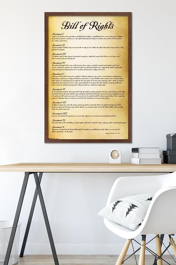 Trends International The United States of America - Bill of Rights Wall Poster, 22.375" x 34", Mahogany Framed Version