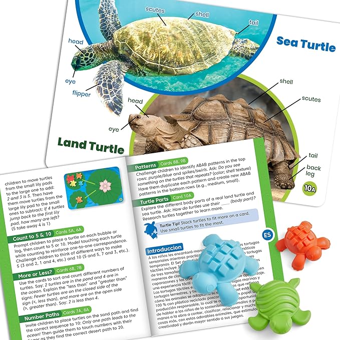 hand2mind Tactile Turtles Math Activity Set, Toddler Numbers and Counting, Math Counters for Kids, Color Sorting Toys, Sensory Turtle Game, Preschool Learning Activities, Montessori Math Materials