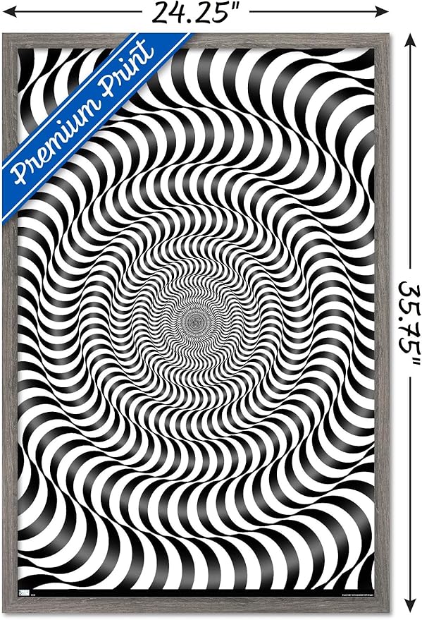 Trends International Zebra Stripe Optical Illusion Wall Poster, 22.375" x 34", Barnwood Framed Version