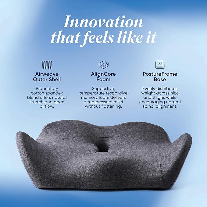 OneCushion Advanced Ergonomic Seat Cushion for Office Chair with Firm AlignCore Foam for All-Day Comfort, Posture Support & Pressure Relief for Work or Home Use - Heather Charcoal