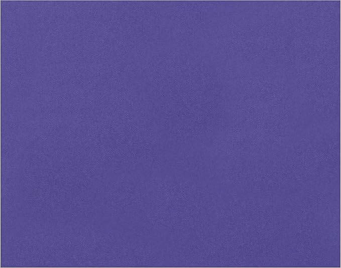 PaperPro Pacon Peacock 4-Ply Poster Board (PAC54481),Purple,22" x 28"