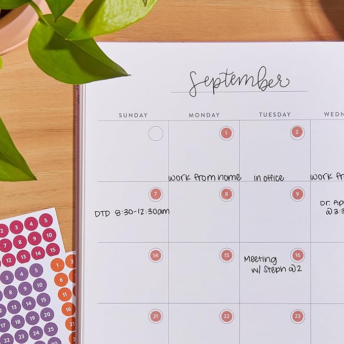 Erin Condren Colorful Calendar Date Dots, 12 Sheets of Multicolor Number Stickers for Undated Planners and Calendars, Monthly Date Dot Stickers for Easy Scheduling and Planning