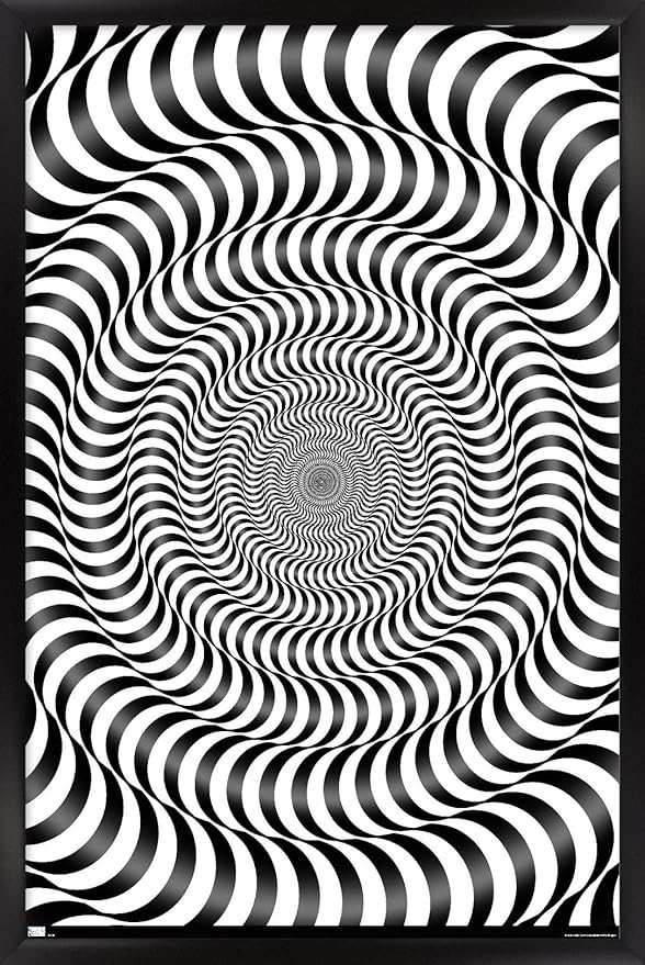 Trends International Zebra Stripe Optical Illusion Wall Poster, 22.375" x 34", Black Framed Version