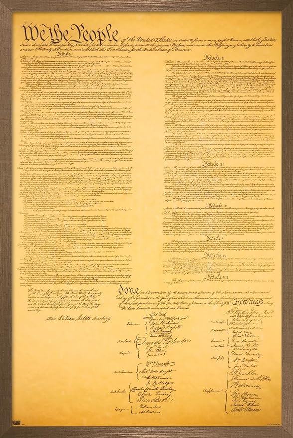 Trends International The Constitution Wall Poster, 14.725" x 22.375", Bronze Framed Version