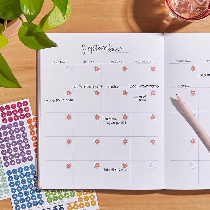 Erin Condren Colorful Calendar Date Dots, 12 Sheets of Multicolor Number Stickers for Undated Planners and Calendars, Monthly Date Dot Stickers for Easy Scheduling and Planning