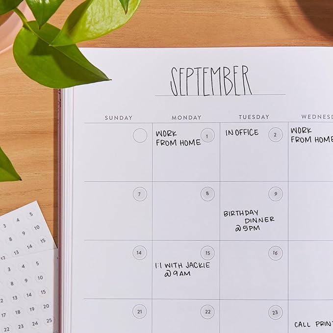 Erin Condren Colorful Calendar Date Dots, 12 Sheets of Grey and White Number Stickers for Undated Planners and Calendars, Monthly Date Dot Stickers for Easy Scheduling and Planning