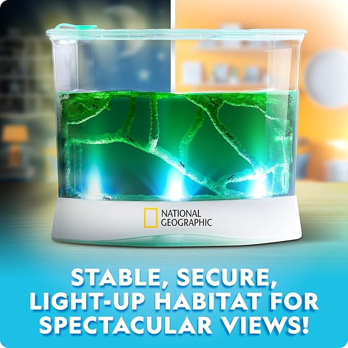 National Geographic Ant Habitat Kit - Light-Up Ant Terrarium with Built-in Magnifiers, Tunnel Starter Tool & More, Ant Activities for Kids, Ant Home, Ant Colony, Ant Habitat, Ant House for Kids