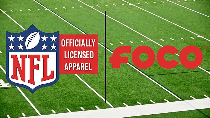 FOCO NFL Unisex-Adult Officially Licensed Wordmark Team Color Big Logo Football Zip Closure 7L Lunch Bag - Carolina Panthers