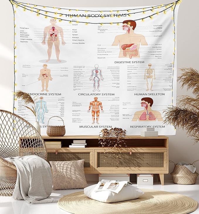 Ambesonne Human Anatomy Tapestry, Chart of Organs Body Structures Biology Themed Cartoon Schemes, Fabric Wall Hanging Decor for Bedroom Living Room Dorm, 45" X 30", White and Multicolor