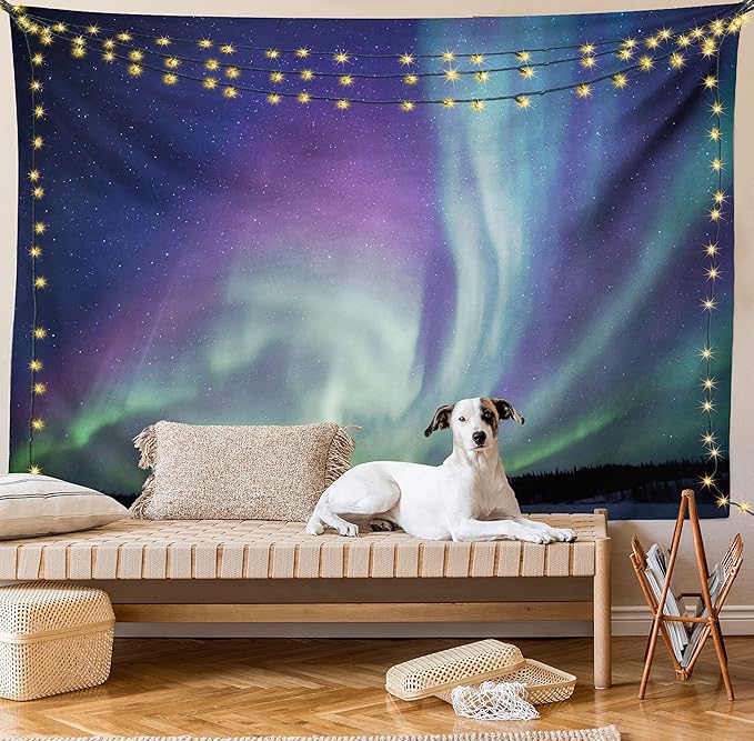 Ambesonne Aurora Borealis Tapestry, Exquisite Atmosphere Solar Starry Sky Calming Night Image, Wall Hanging for Bedroom Living Room Dorm Decor, 40" X 60", Dark Blue Mint Green