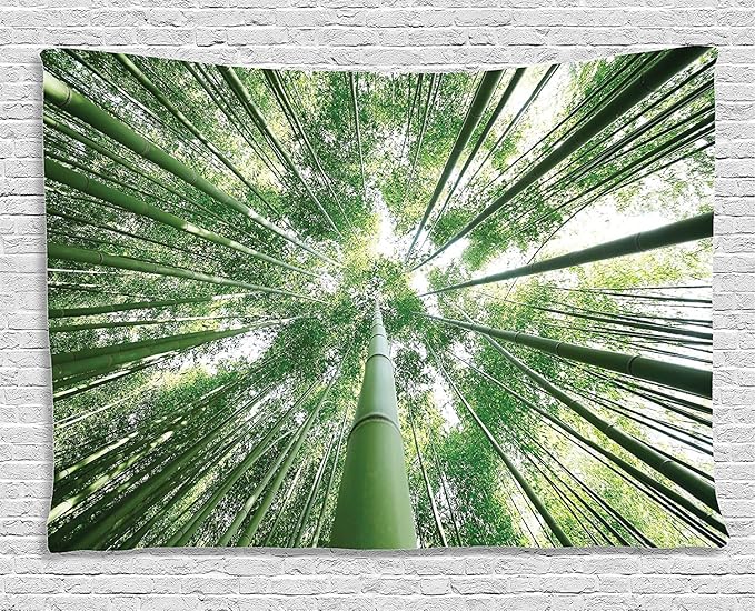 Ambesonne Forest Tapestry, Tropical Rain Forest Tall Trees in Exotic Style Nature Theme Image Sky from Woodland, Wide Wall Hanging for Bedroom Living Room Dorm, 60" X 40", Green