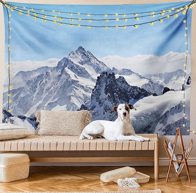 Ambesonne Winter Tapestry, Snowy Rocky Mountain Peaks Tops Scene High Lands ICY Frozen Swiss Outdoor Art, Wide Wall Hanging for Bedroom Living Room Dorm, 60" X 40", Blue and White