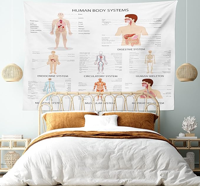 Ambesonne Human Anatomy Tapestry, Chart of Organs Body Structures Biology Themed Cartoon Schemes, Fabric Wall Hanging Decor for Bedroom Living Room Dorm, 45" X 30", White and Multicolor