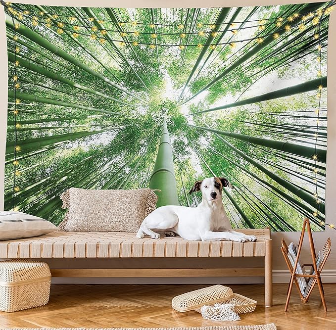 Ambesonne Forest Tapestry King Size, Tropical Rain Forest Tall Trees in Exotic Style Nature Theme Image Sky from Woodland, Wall Hanging Bedspread Bed Cover Wall Decor, 104" X 88", Green